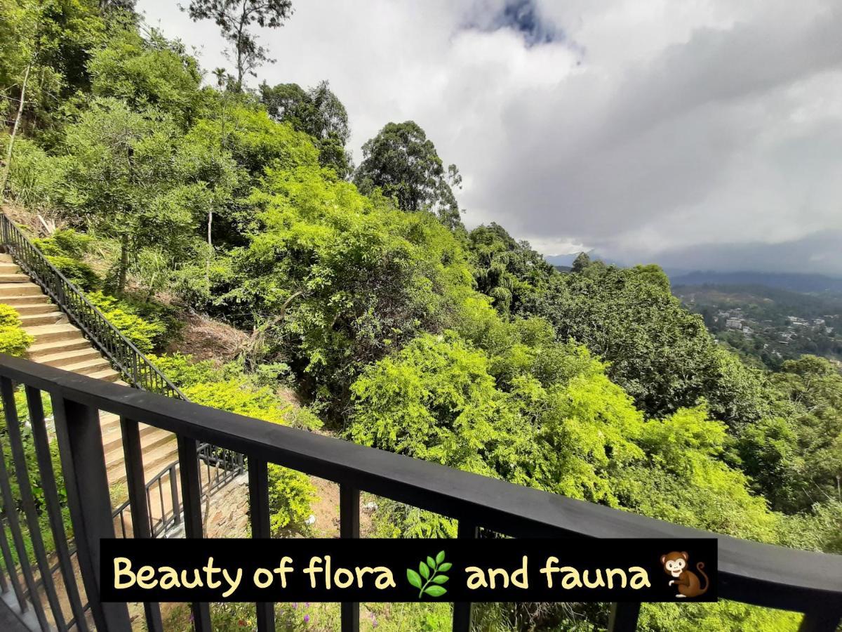 Bed & Breakfast Glorious Nature *
