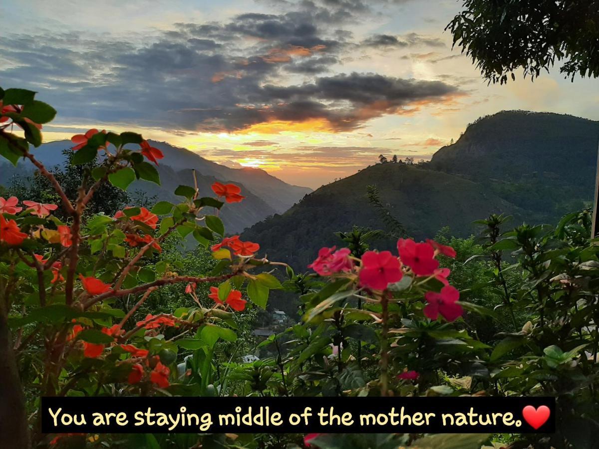 Glorious Nature Ella