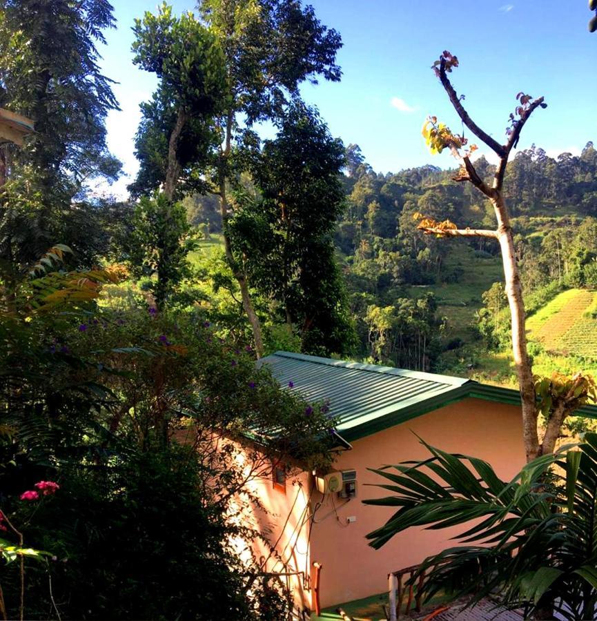 Mars Wonderland View Hotel Ella