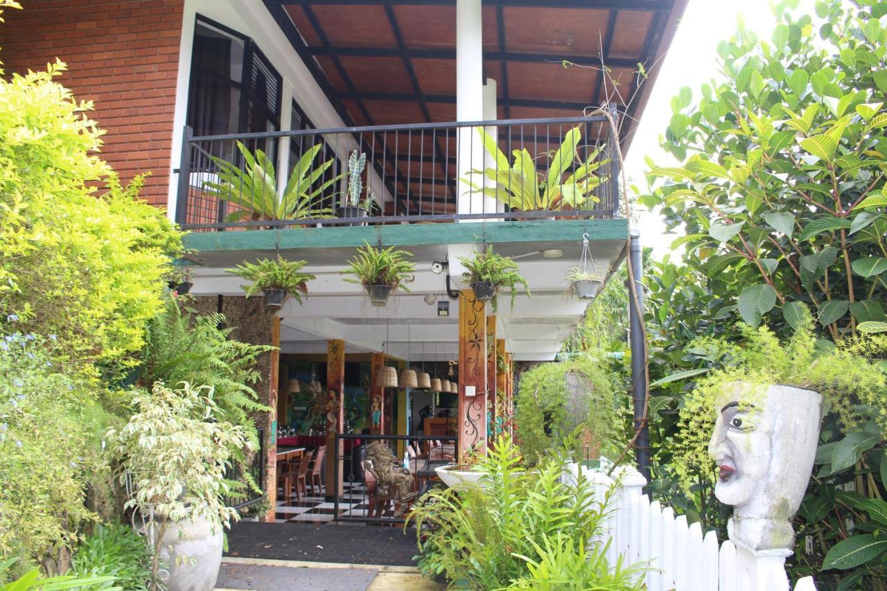 Rock Side - Guest house 3*