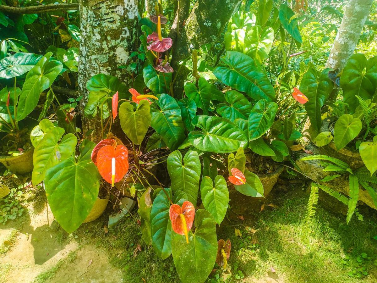 Resort Samadhi Nature 3*