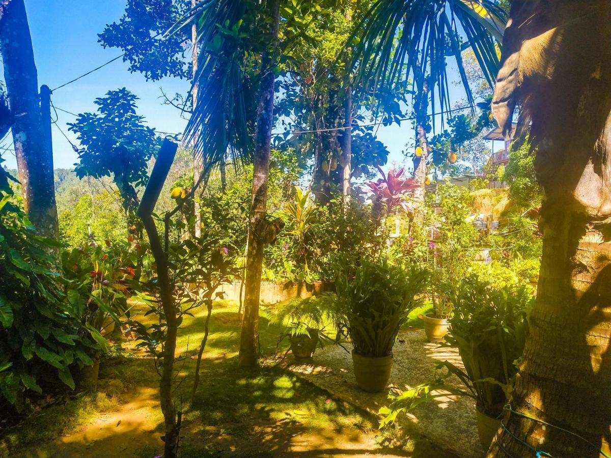 Resort Samadhi Nature