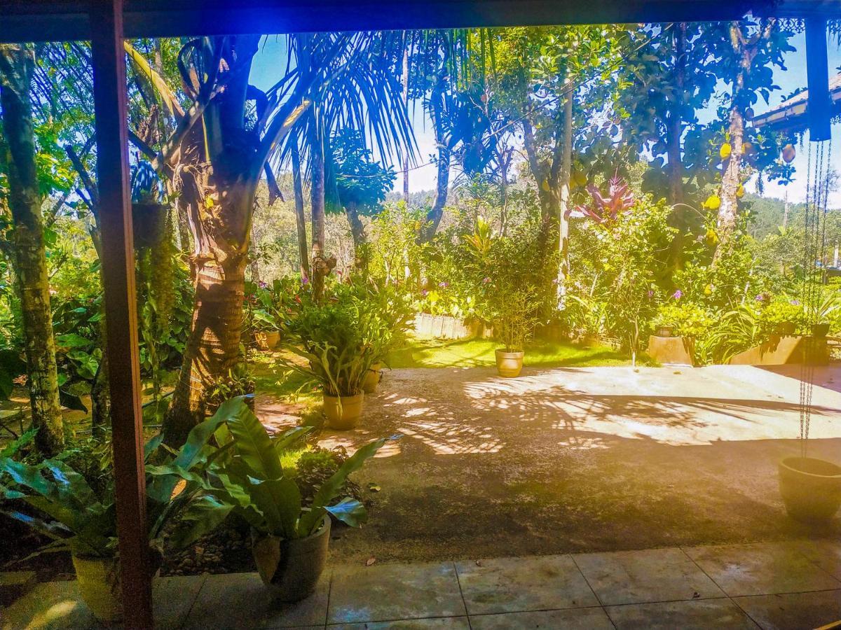 Resort Samadhi Nature