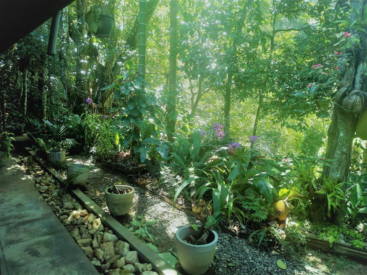 Resort Samadhi Nature 3*