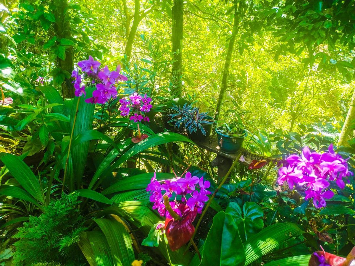 Resort Samadhi Nature 3*