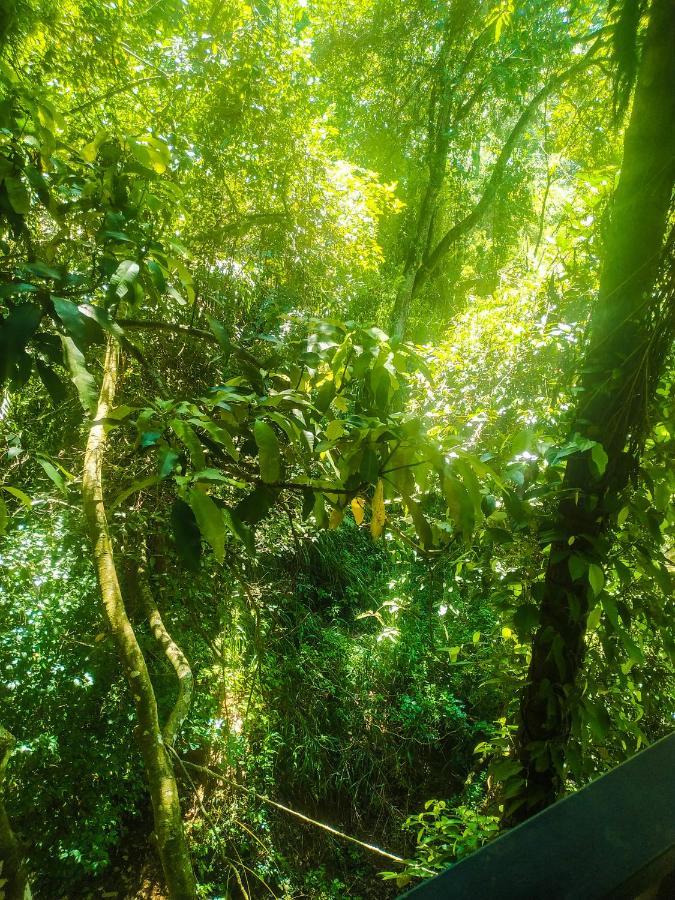 Resort Samadhi Nature Ella