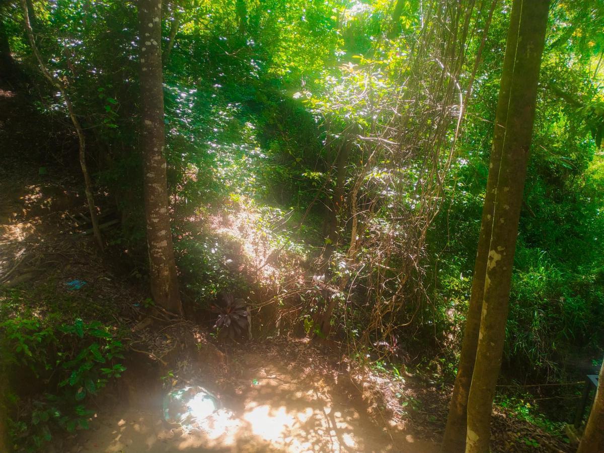 Samadhi Nature 3*