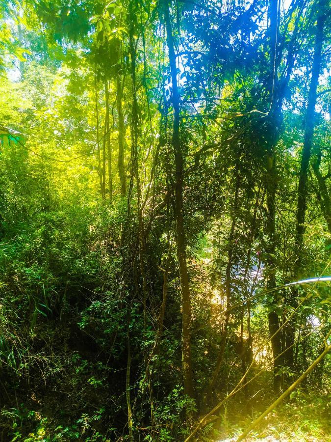 Samadhi Nature Resort Ella