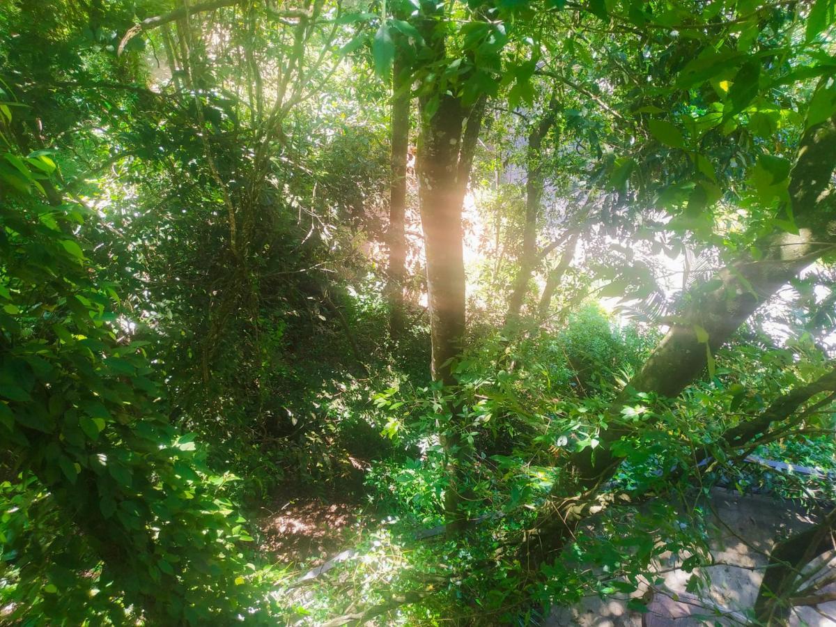 Samadhi Nature Ella