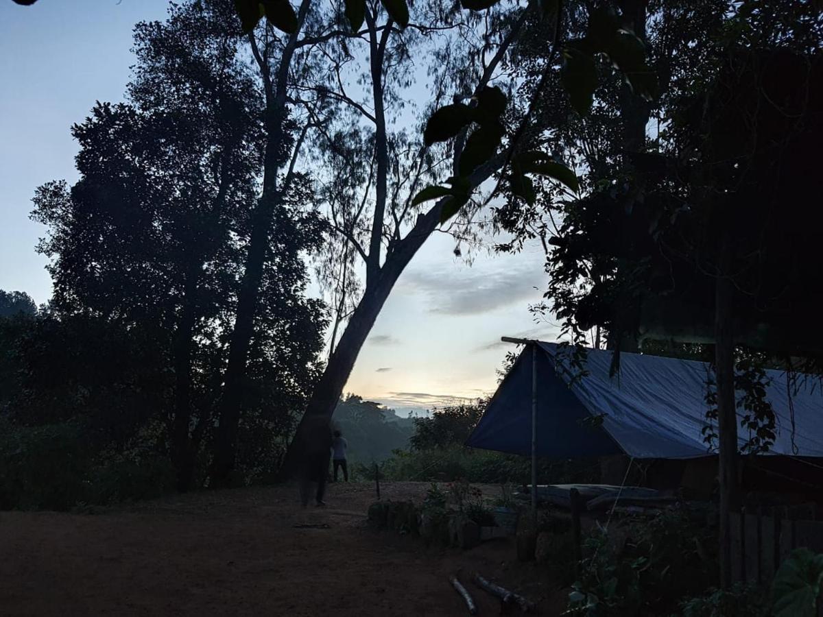 Freedom Camp Luxury tent