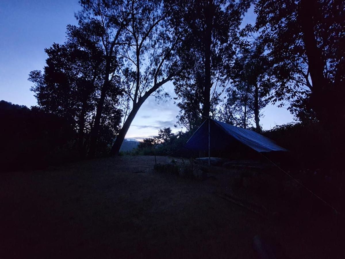 Luxury tent Freedom Camp Ella