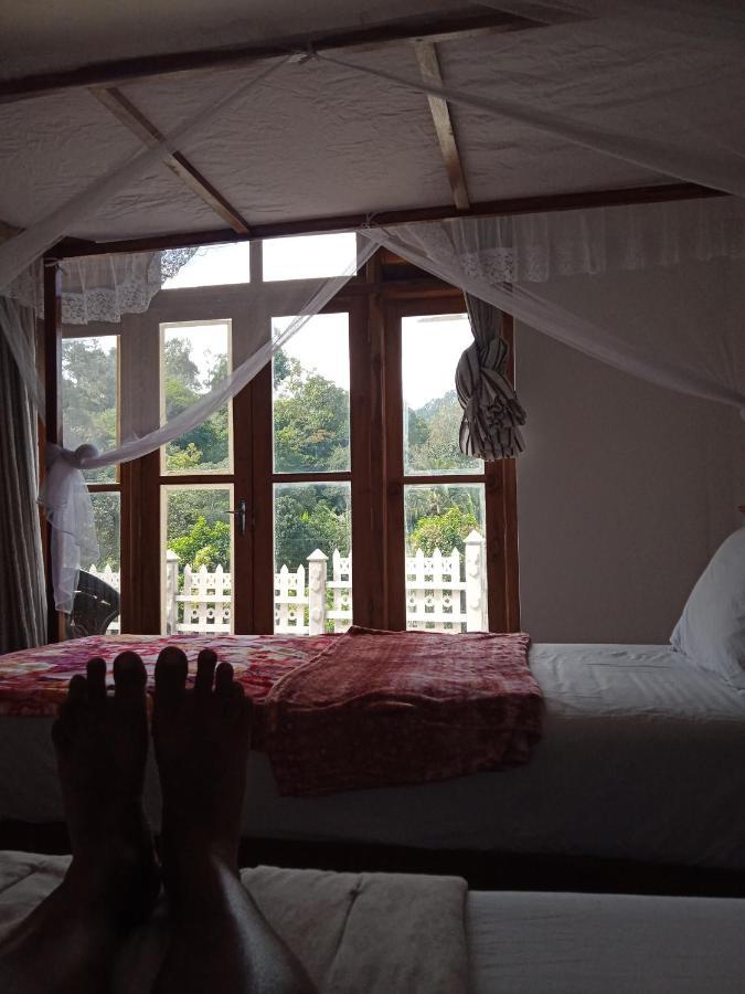 Village Nest Ella