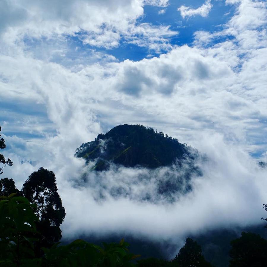 Homestay Secret View *