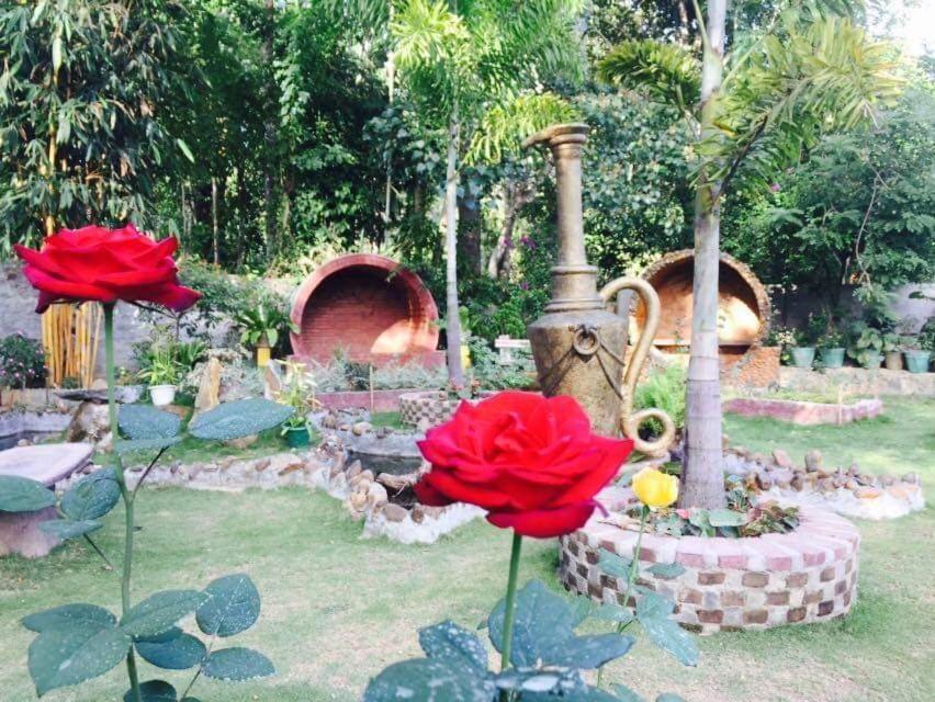 Sun Guest house Ella
