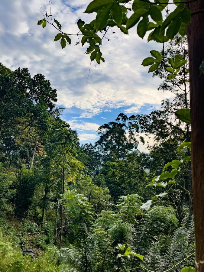 Solitary Homestay