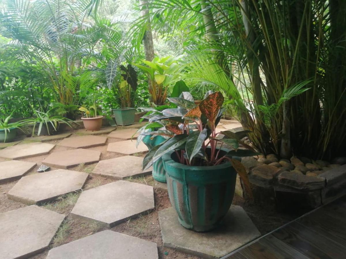 Sky Garden *