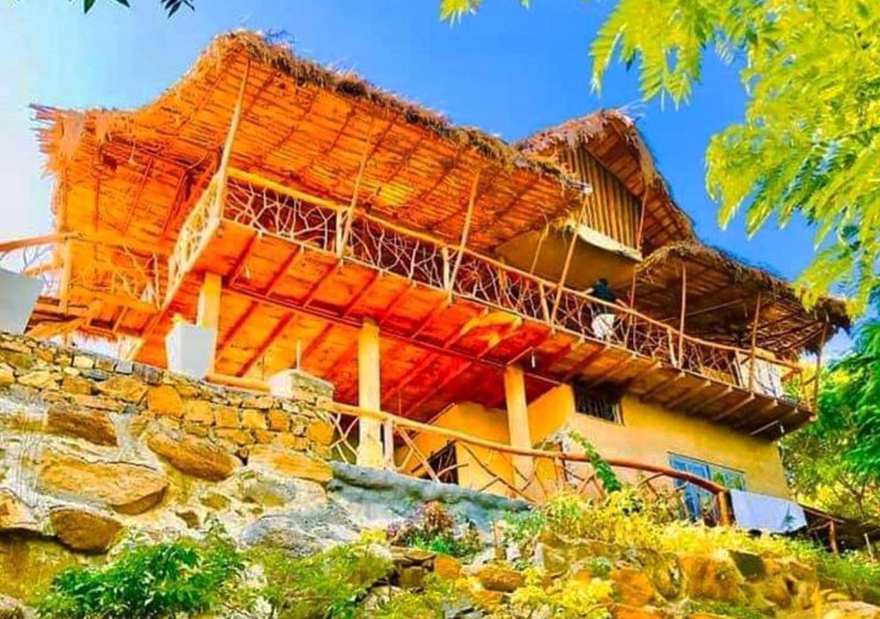 Dream Hostel *