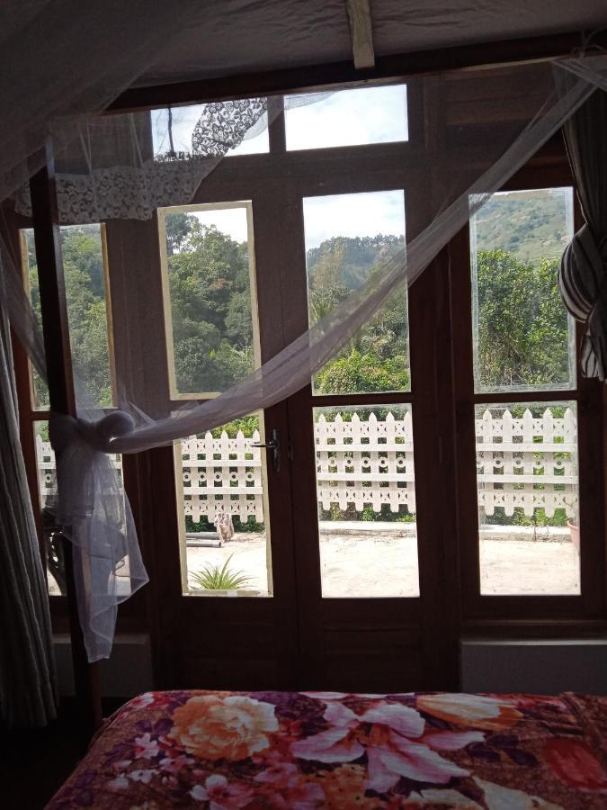 Village Nest Homestay *