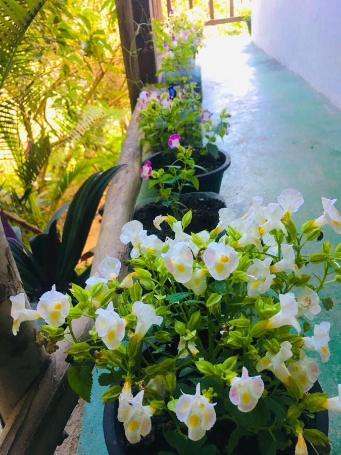 Homestay Bella Ella
