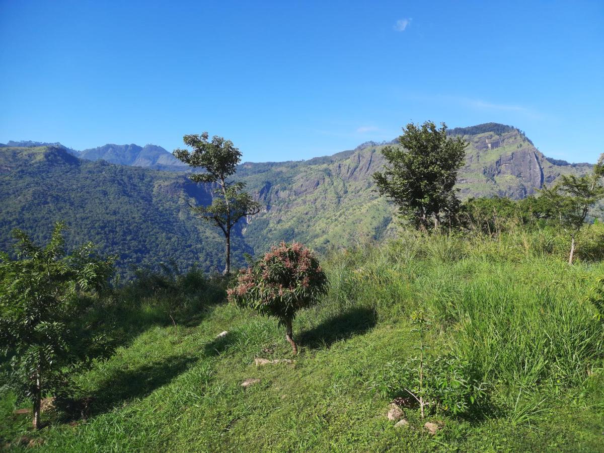 Bed & Breakfast Shambala Retreat