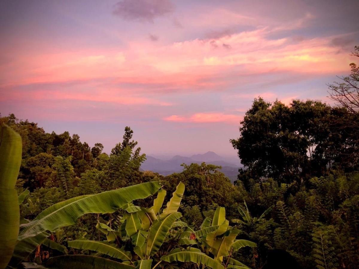Bed & Breakfast Shambala Retreat
