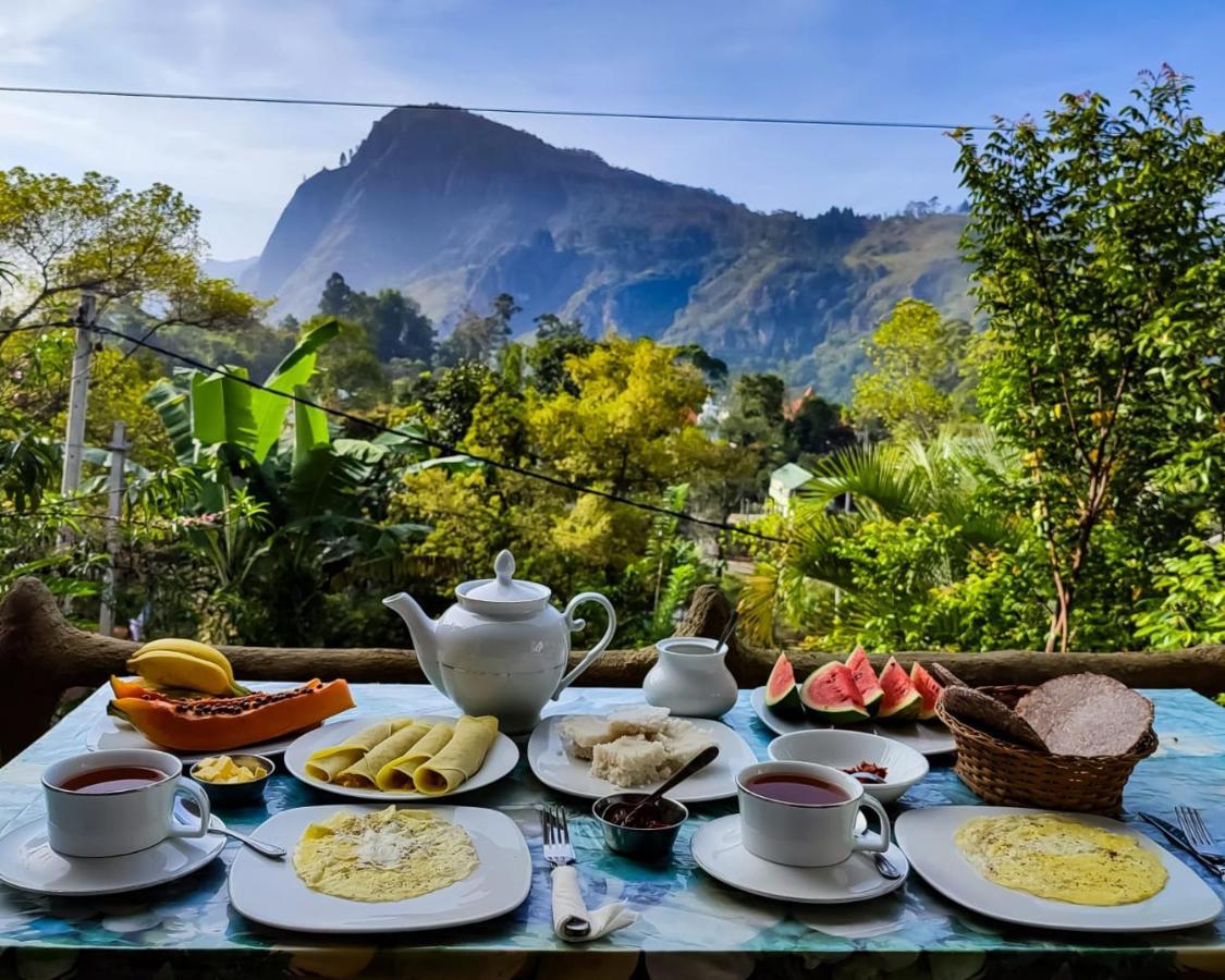 Guest house Eden View - Tour Options In The Area