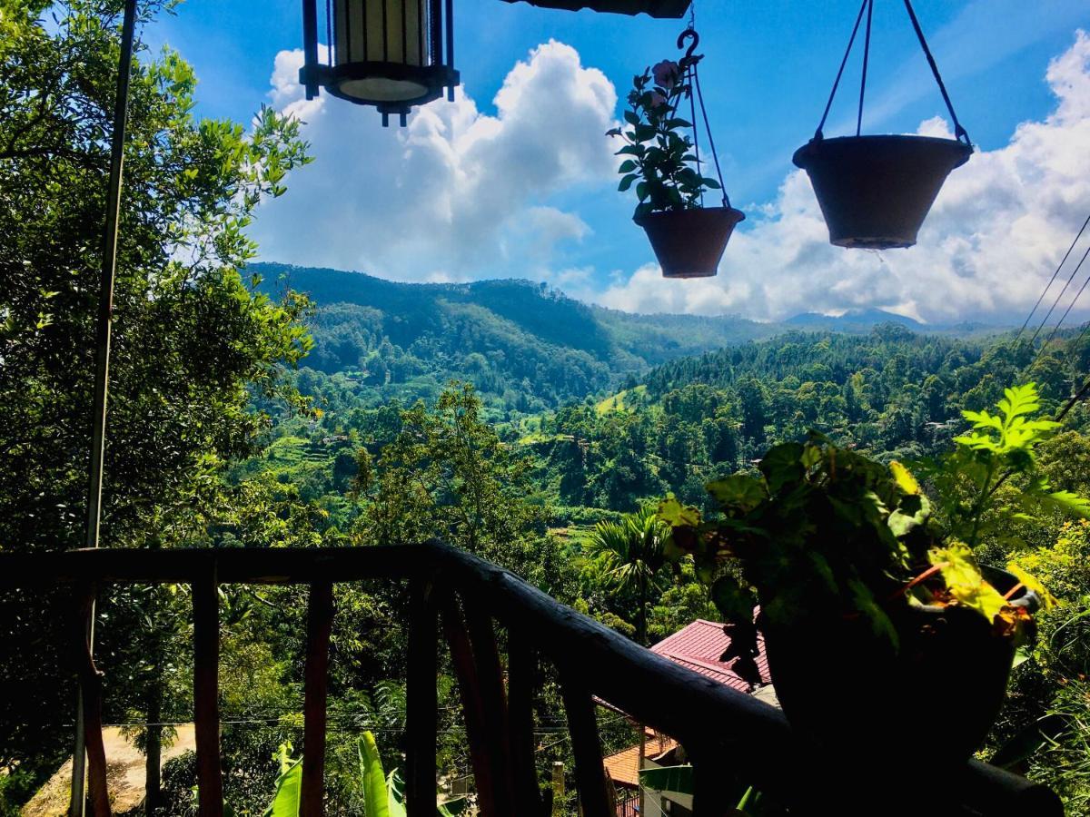 Homestay Bella