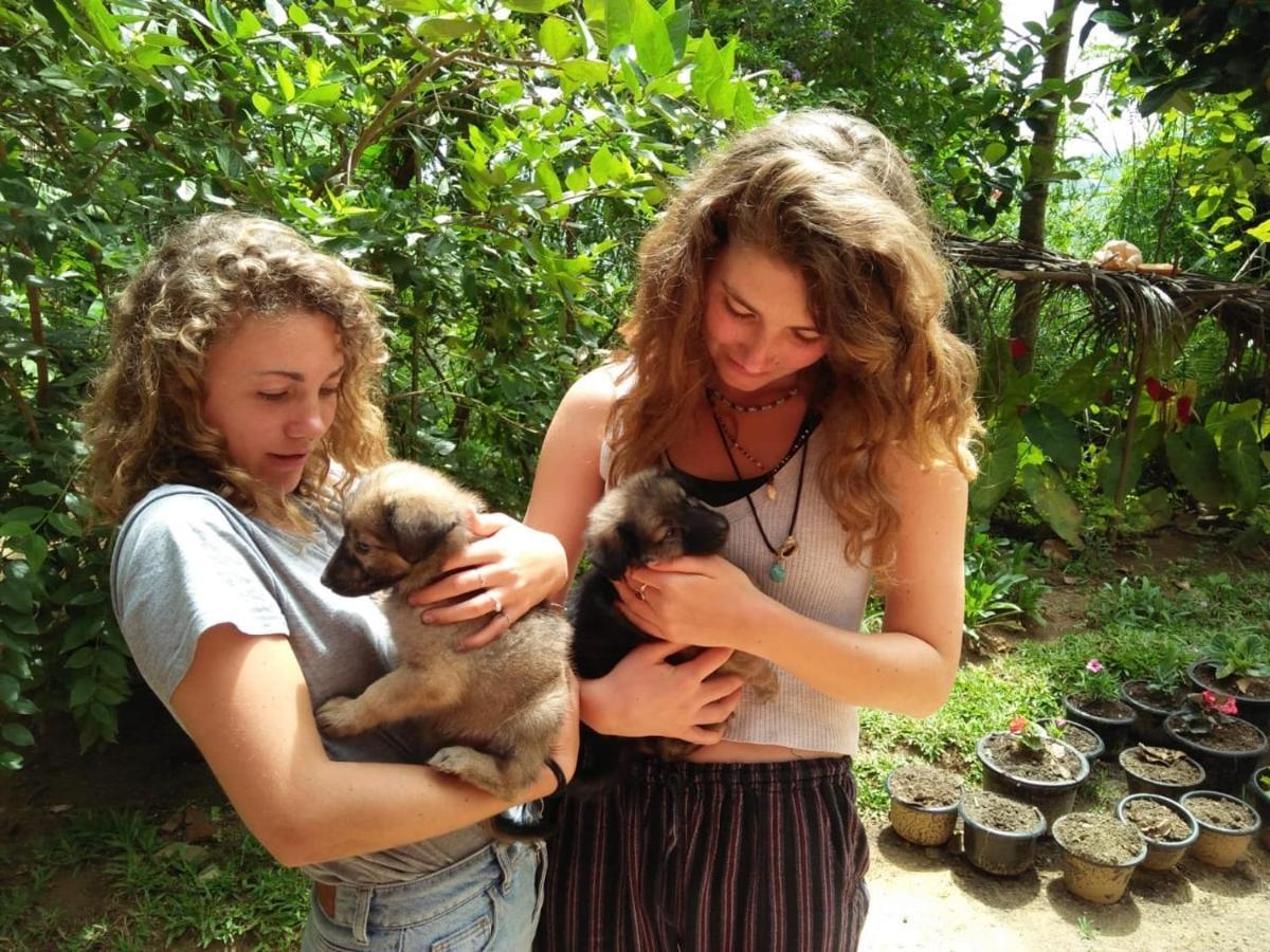 Homestay Bella