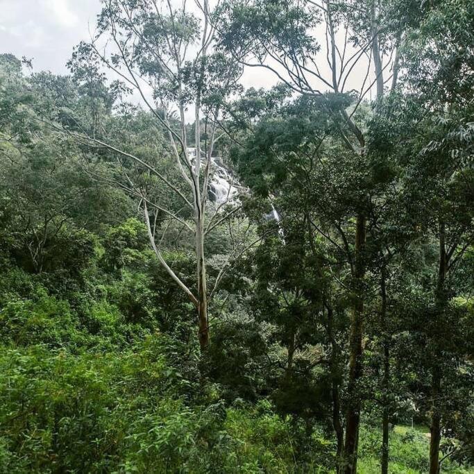 Retreat For Nature Lovers
