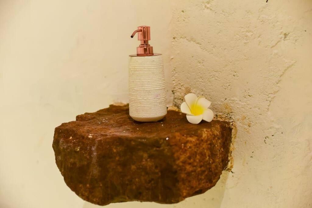 Retreat For Nature Lovers