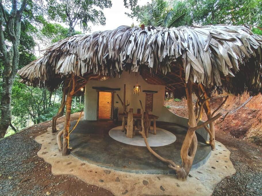 Retreat For Nature Lovers