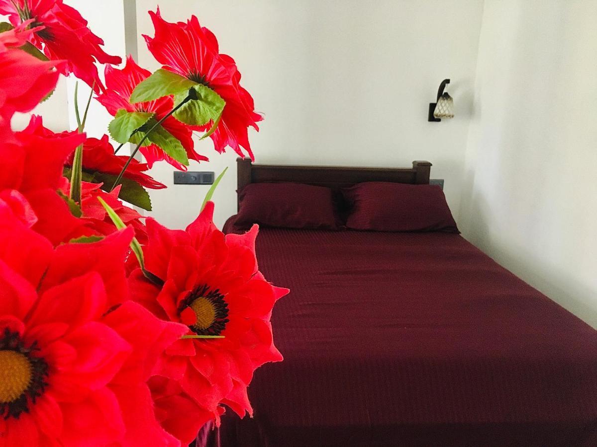 Homestay Bella