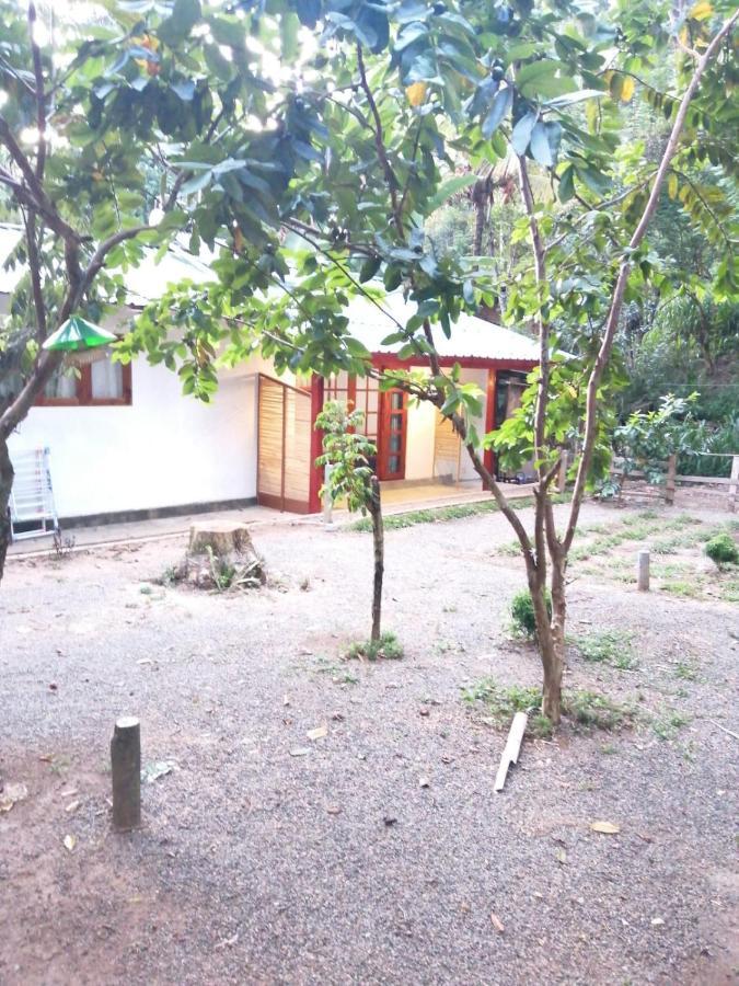 Hostel Foret