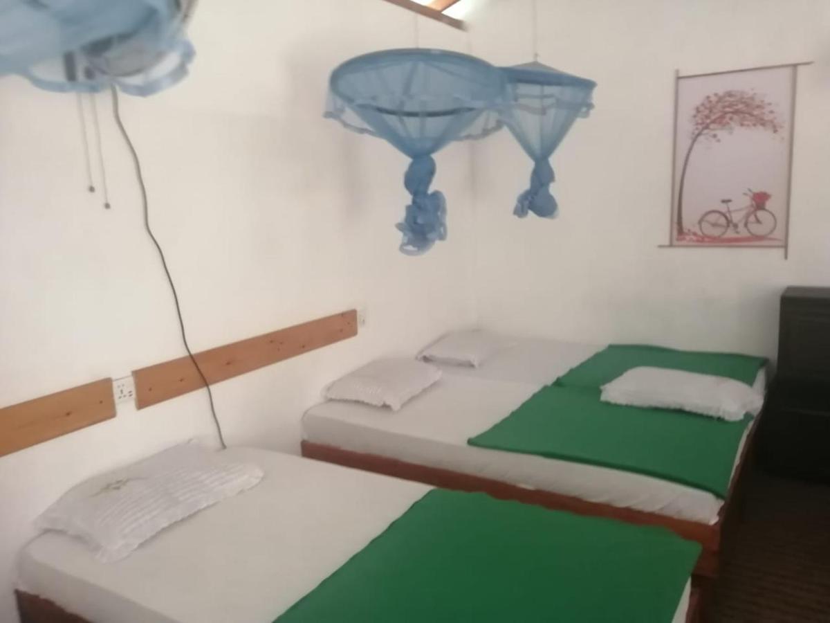 Hostel Foret