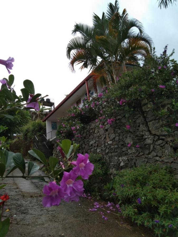 Homestay Heaven