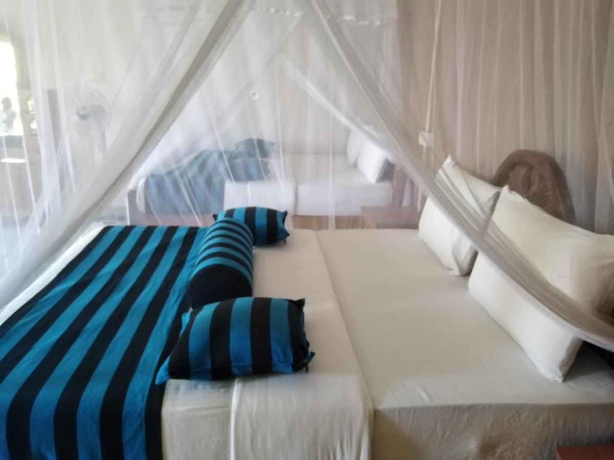 Bed & Breakfast Blue Ribbon *