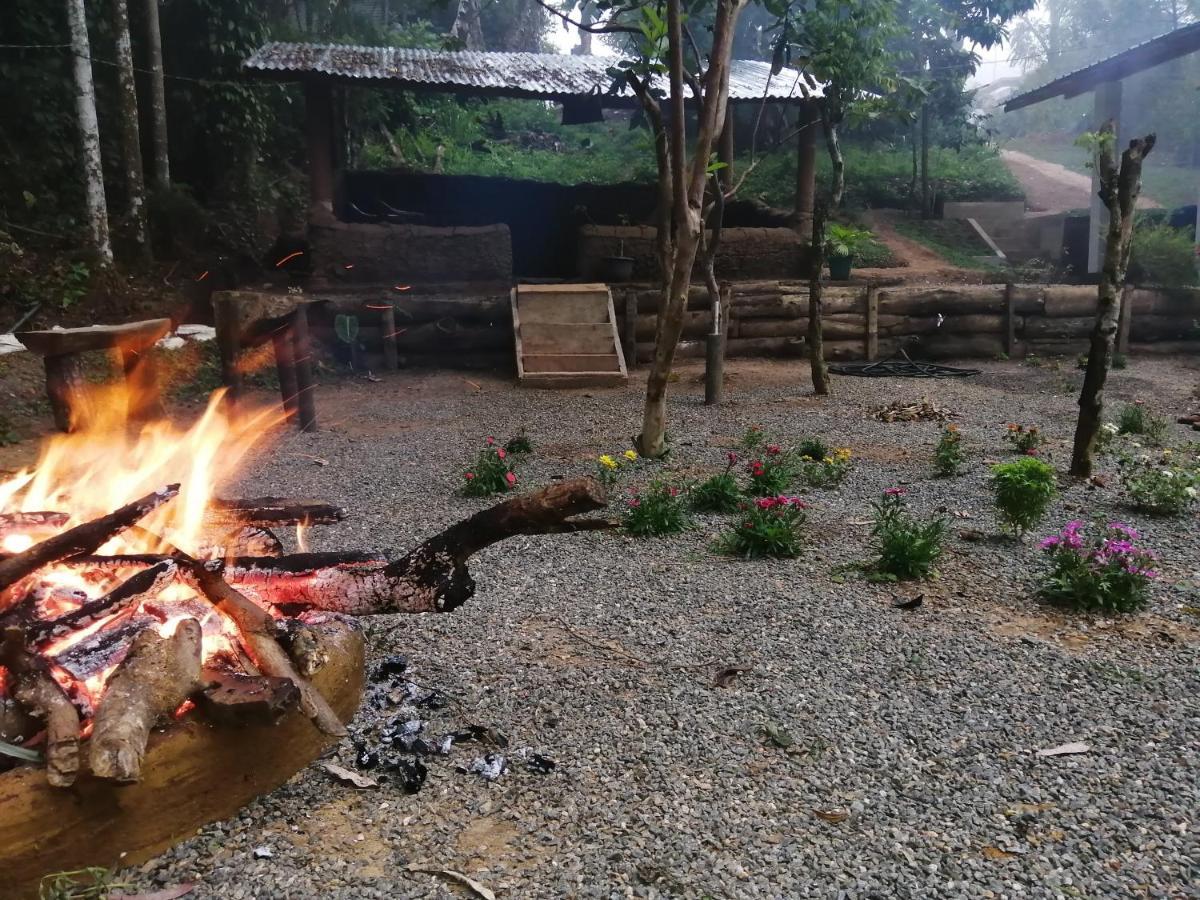 Foret Hostel Ella