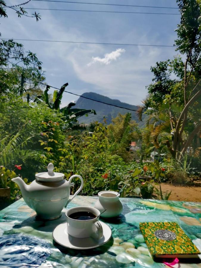 Guest house Eden View - Tour Options In The Area Ella