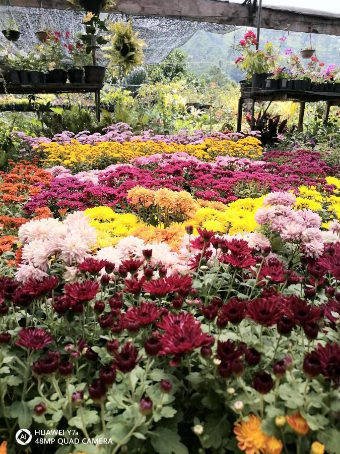 Flower Holiday home
