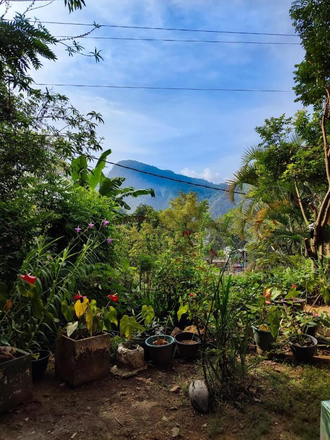 Eden View - Tour Options In The Area * Ella