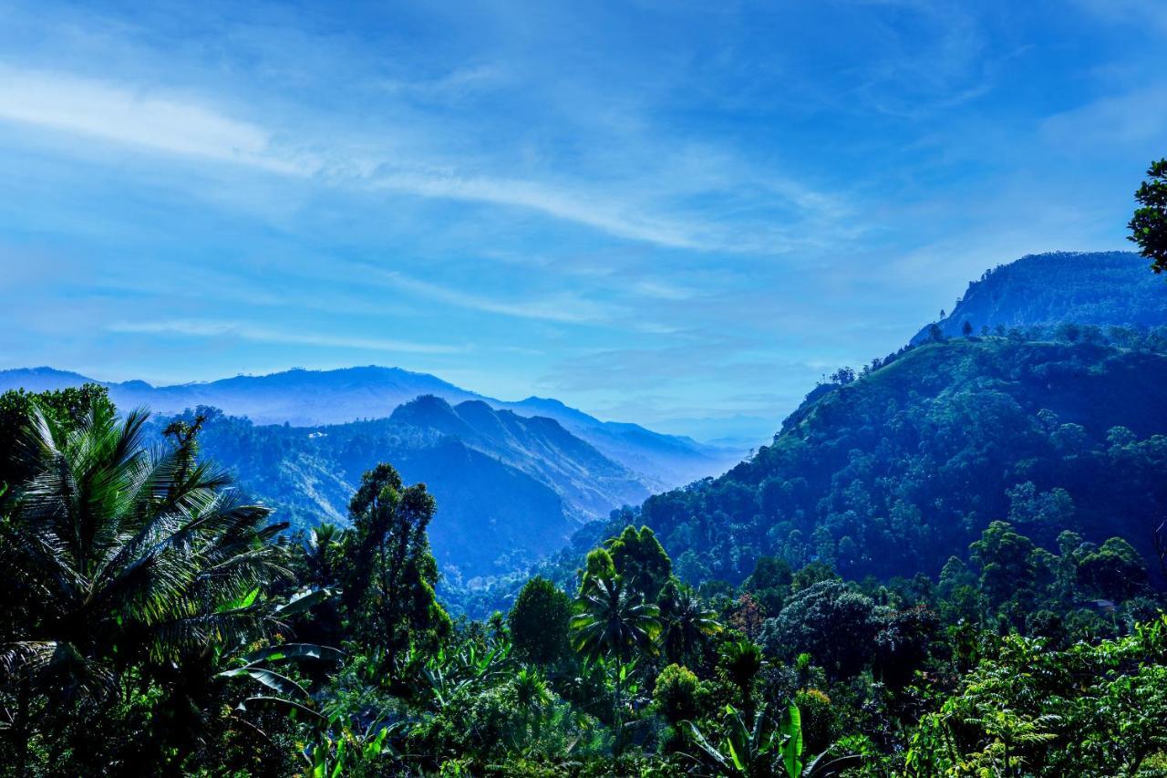 Nest Of Peak * Ella