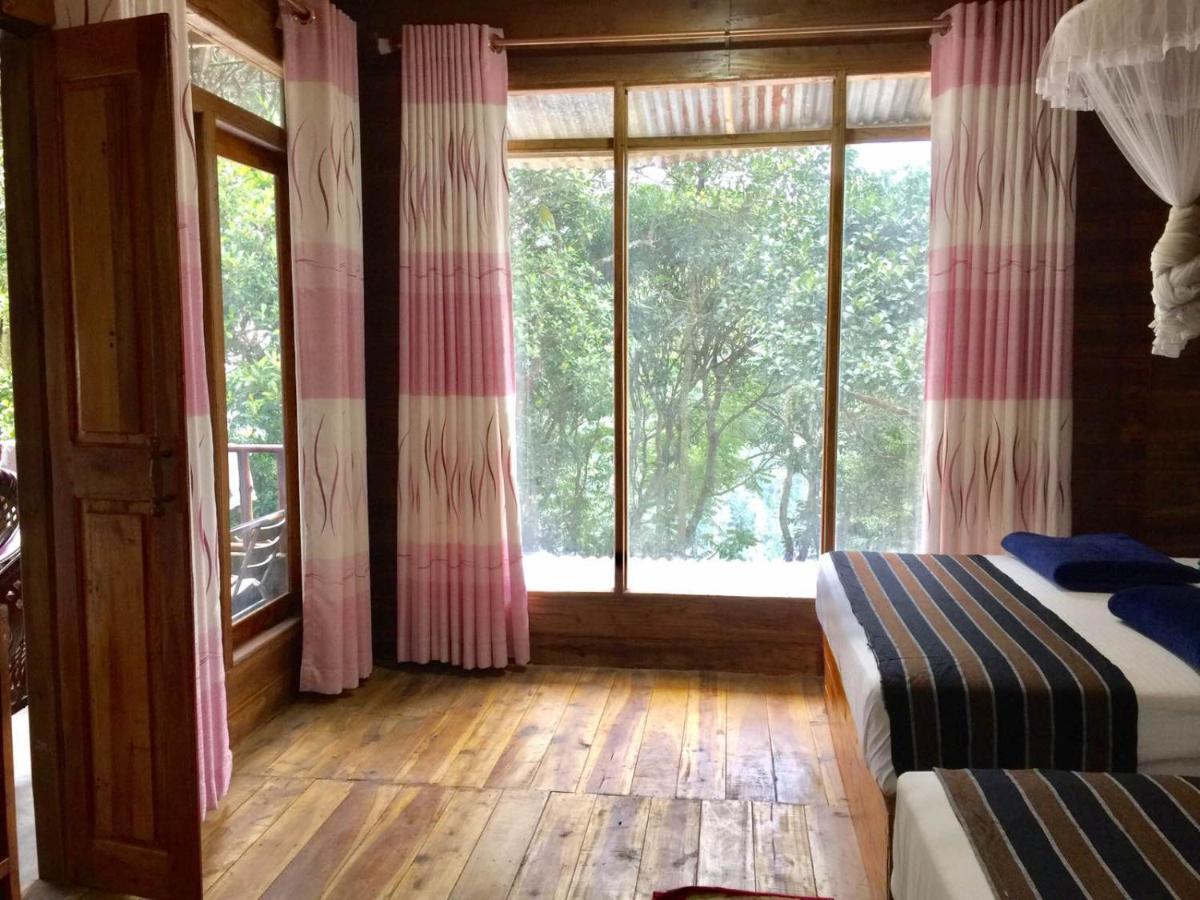 Nature Nest Homestay Ella