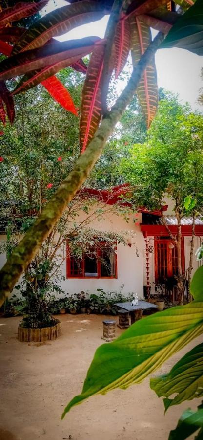 Jungle Homestay Ella