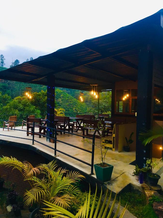 Wild Guest house