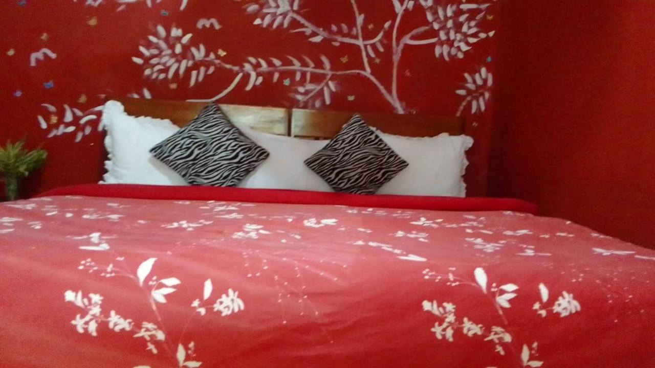 Secret Nest *