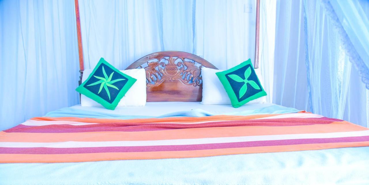 Galaxy View Homestay *