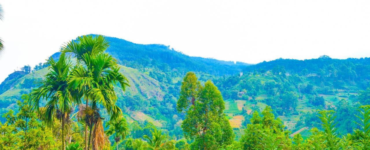 Homestay Galaxy View