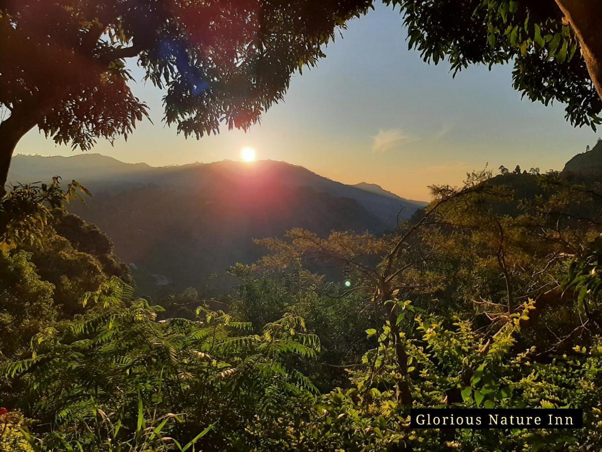 Glorious Nature *