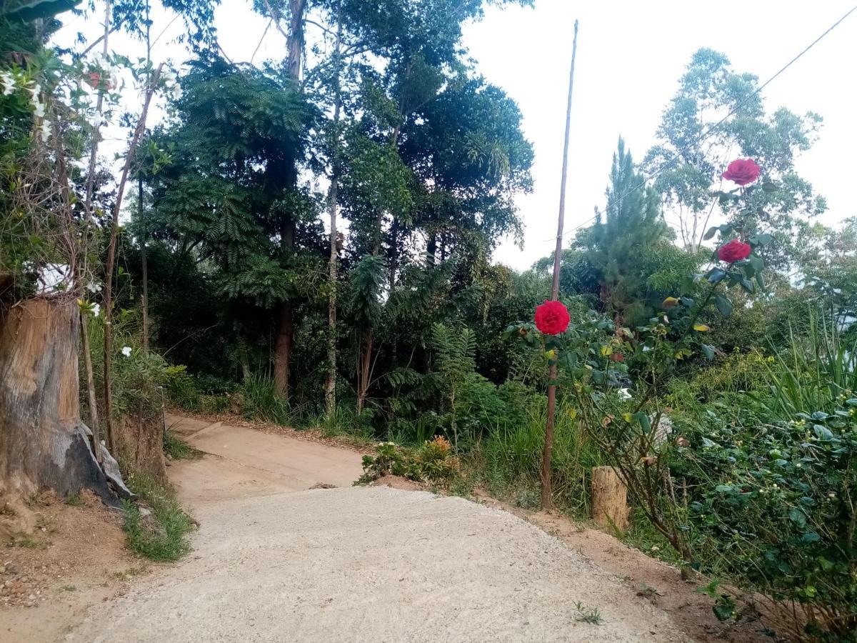 Homestay Apurvi