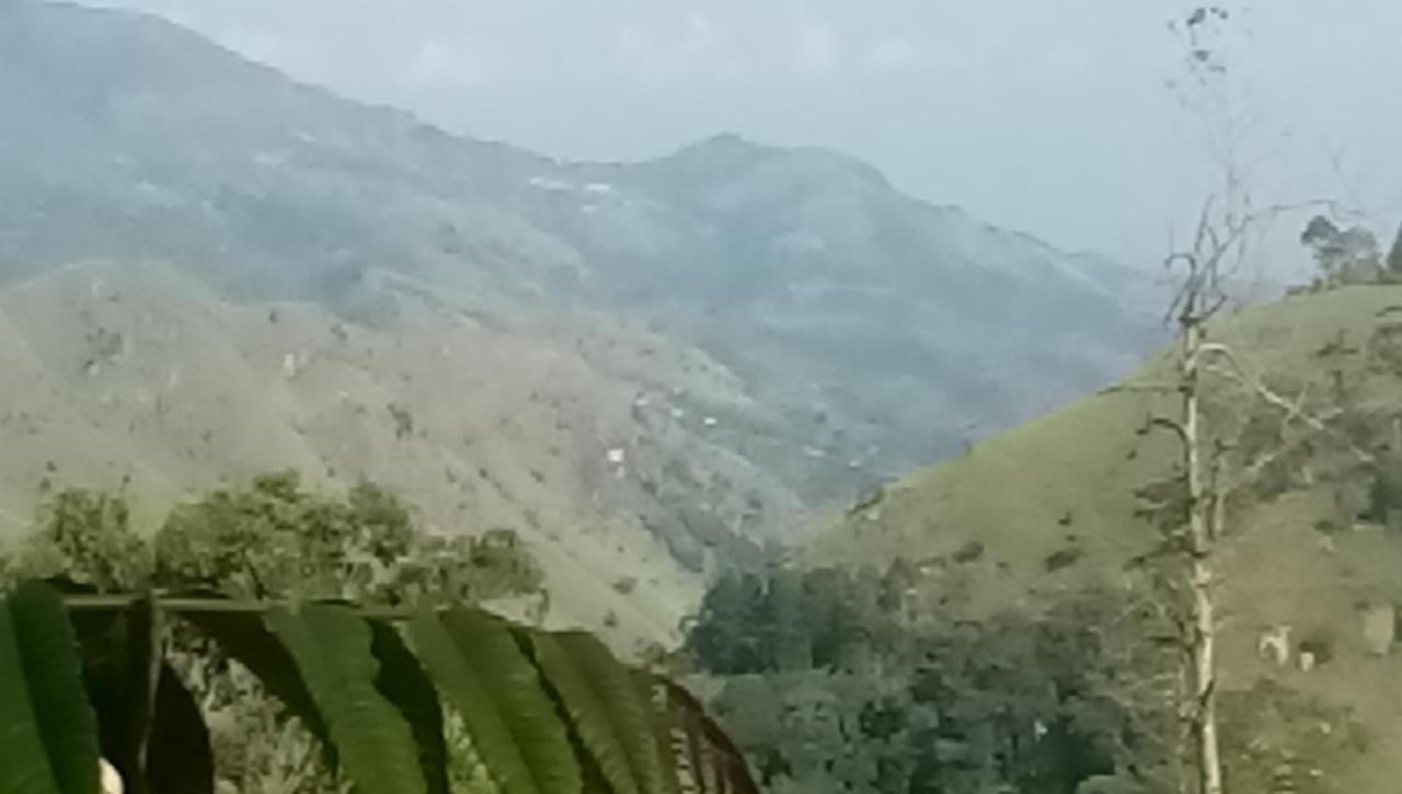 Apurvi